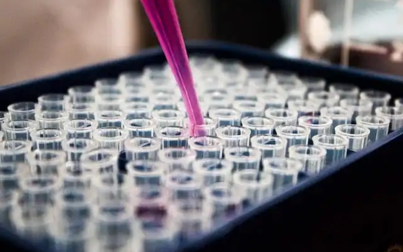 Healthcare consulting firms