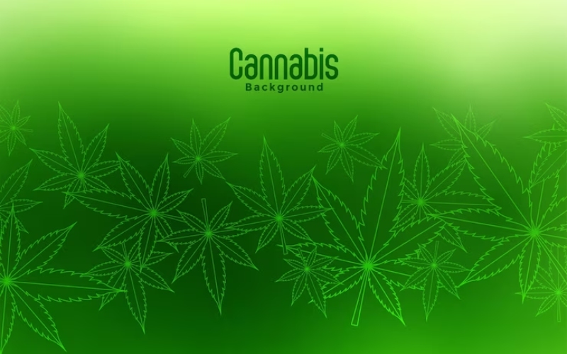 virginia medical marijuana card