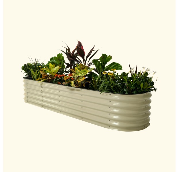 galvanized raised beds