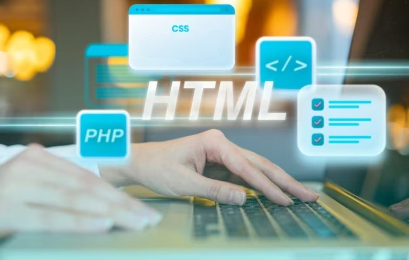 hire dedicated wordpress developers