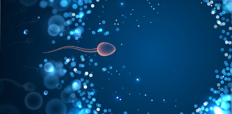 iui treatment san diego