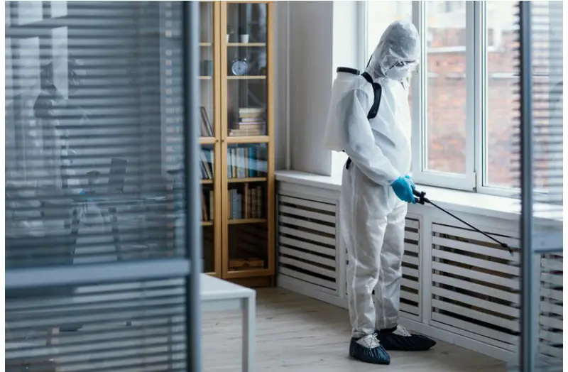Bedbug Exterminator in Toronto