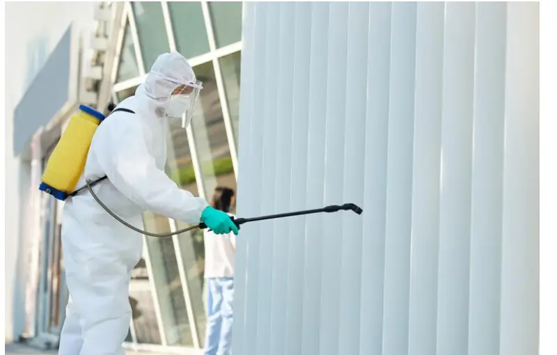 Bedbug Exterminator in Toronto