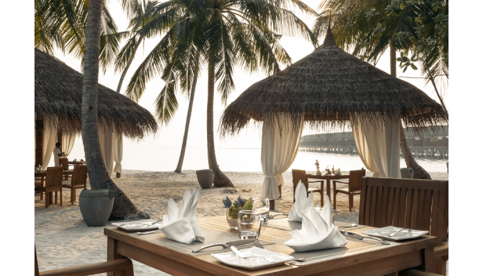 beach bar maldives