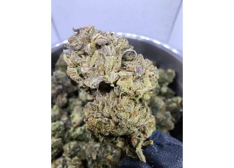 CBD products online in Canada